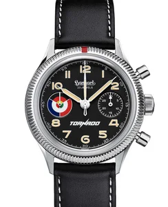 Hanhart 417 ES Tornado Maiden Flight, flyback