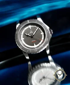 Delhi Watch Company DWC HAVELOCK (9039) Gray Steel Bracelet