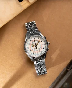 Delhi Watch Company VAYU BISON Bracelet + NATO White