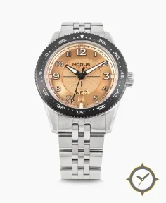 Sector II Pilot - Flyer