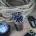 Aquatico Super Charger Bronze Blue Dial Watch (NH35) NO DATE