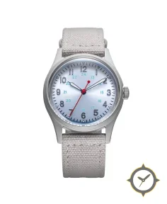 Arctic Field Ice Sunray