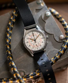 Delhi Watch Company VAYU BISON NATO White