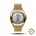 TIME MASTER 70 GOLD SILVER