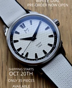 Makoto Watch Co Senshi – – VH31 Seiko Meca Quartz