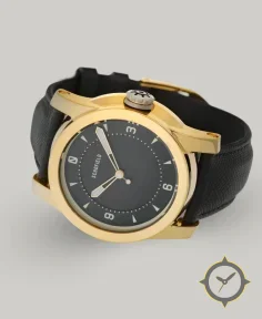 Treasure Watch ✦ Gold