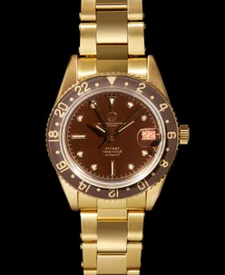 True North Collections VTT-PVD Gold Brown Dial