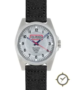 Field Watch - Steel Case - Vintage Dial