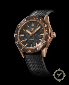 Swordfish Bronze Meteorite