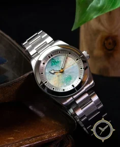 Whitney Lauren Collaboration 2025