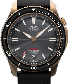 Tsao Baltimore BRONZE TORSK-DIVER - HARBOR GREY