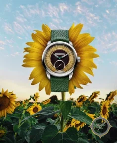 SB05 SUNFLOWER