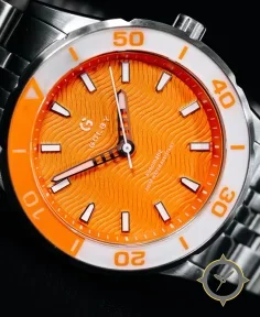 The Orange Coastal Watch by Golby