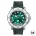 Morar 310