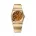 Metric Lite - Tiger Eye Automatic Watch