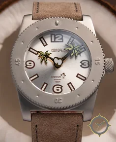 Hydrium Coconut Island