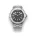 Time Companion Stainless Steel – Grey Dial